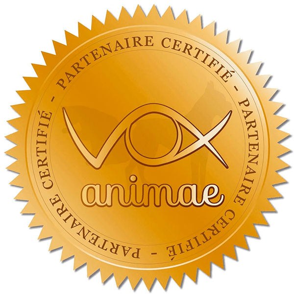 Partenaire Vox animae Vox animae