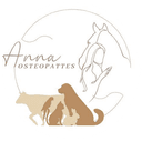 Anna Dorsemagen
